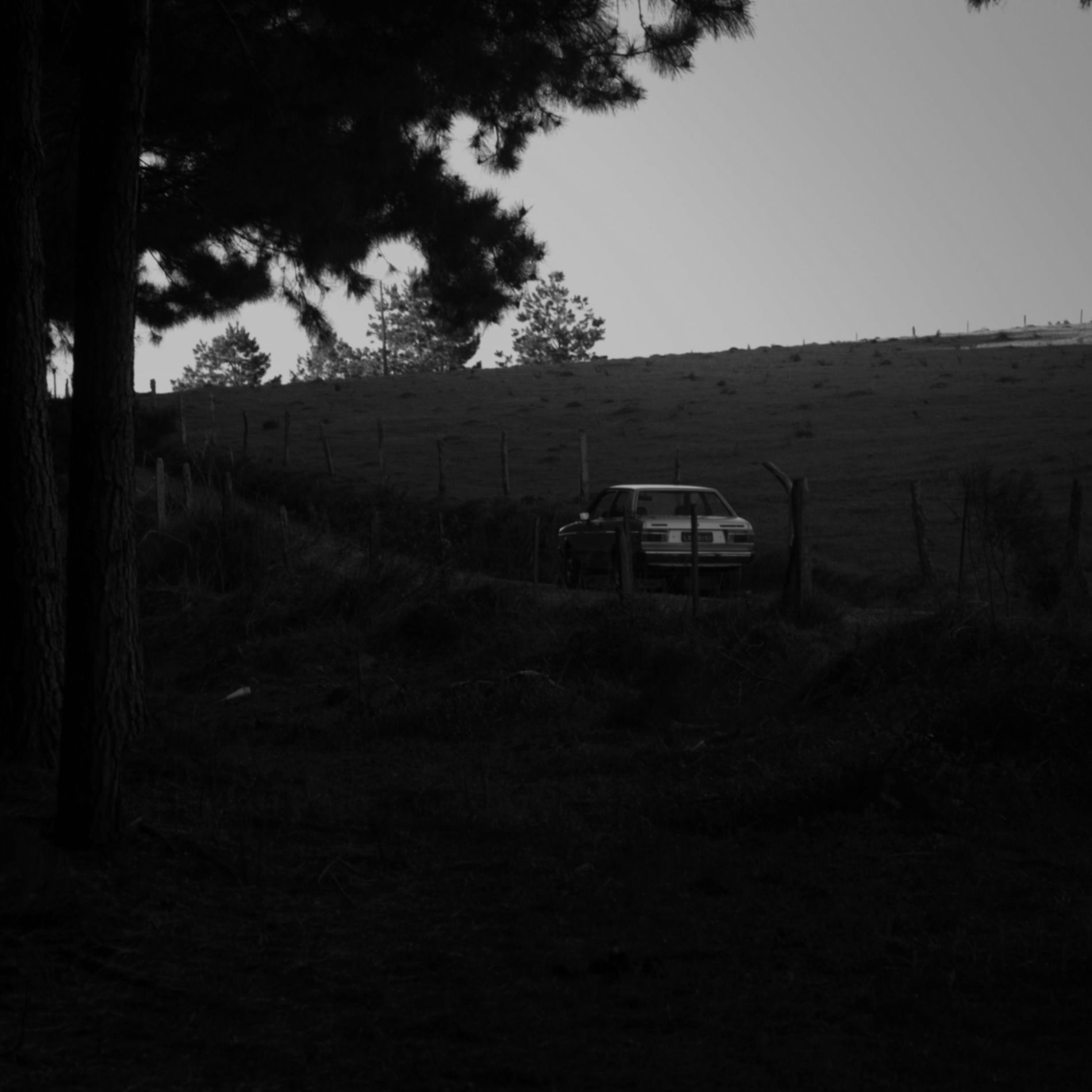 Album cover of Admirável Mundo de Dionísio Mixtape 2014