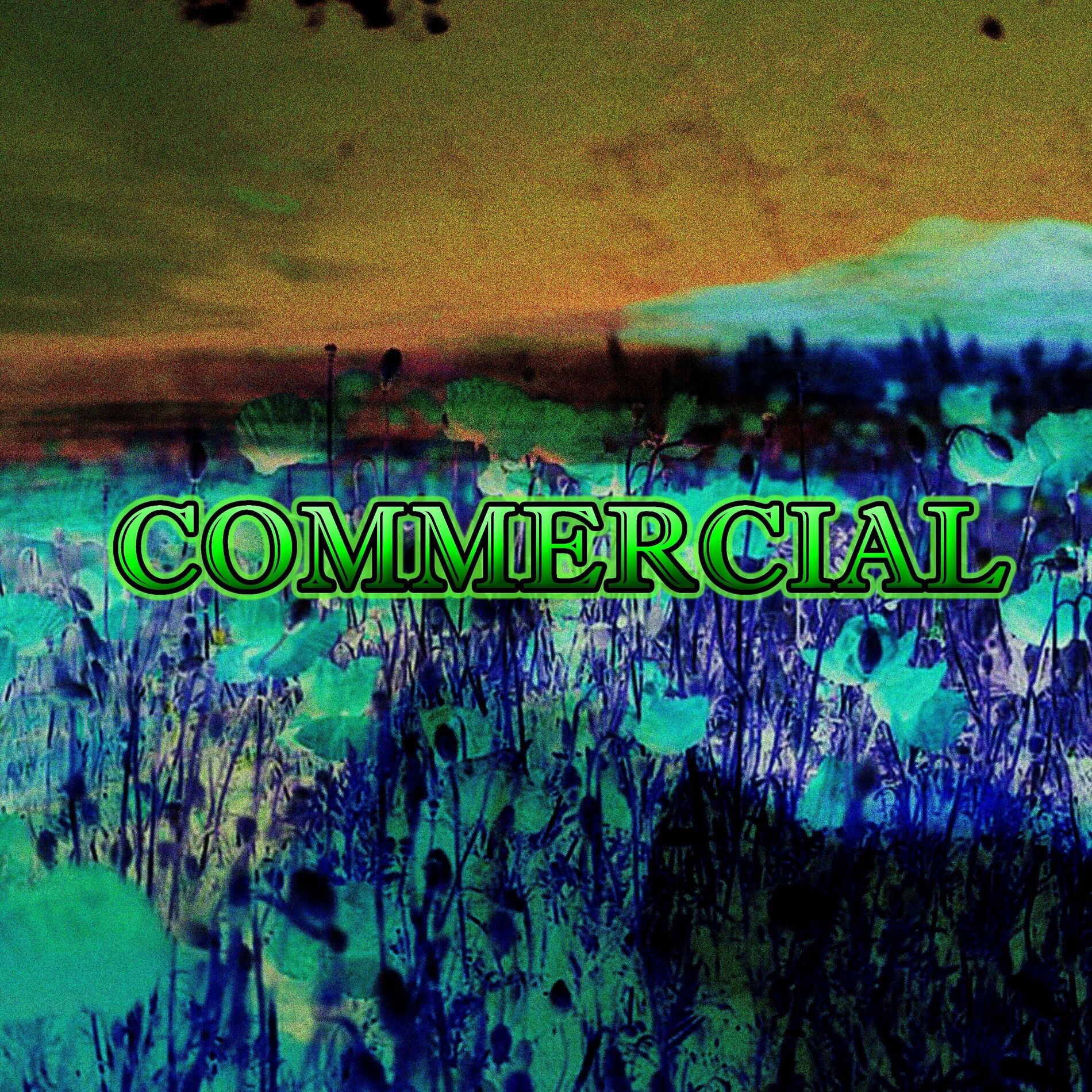 Album cover of Commercial