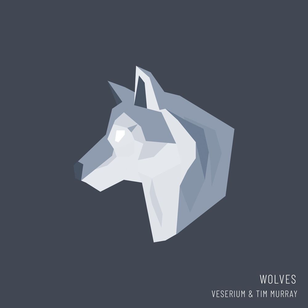 Picture of Wolves (feat. Tim Murray)