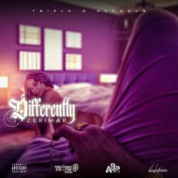 Cover of Differently
