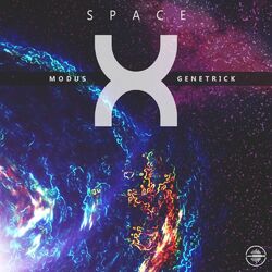 Cover of Space X