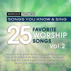 Cover of Worship Together: 25 Favorite Worship Songs Vol. 2