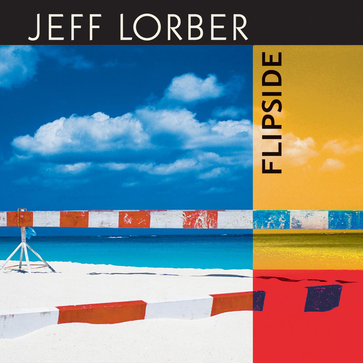 Album cover of Flipside