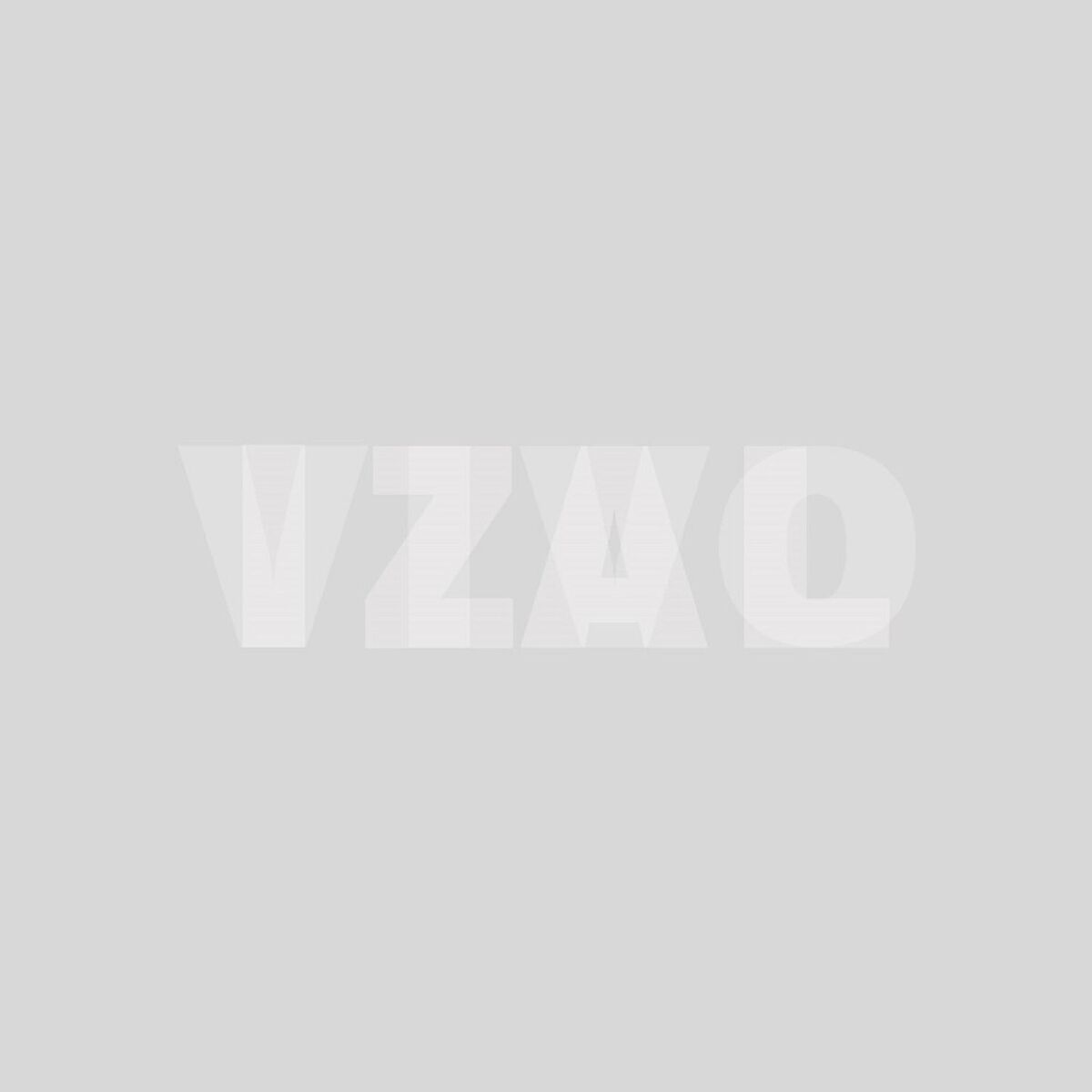 Album cover of VIVO (En Directo)