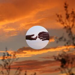 Cover of dusk