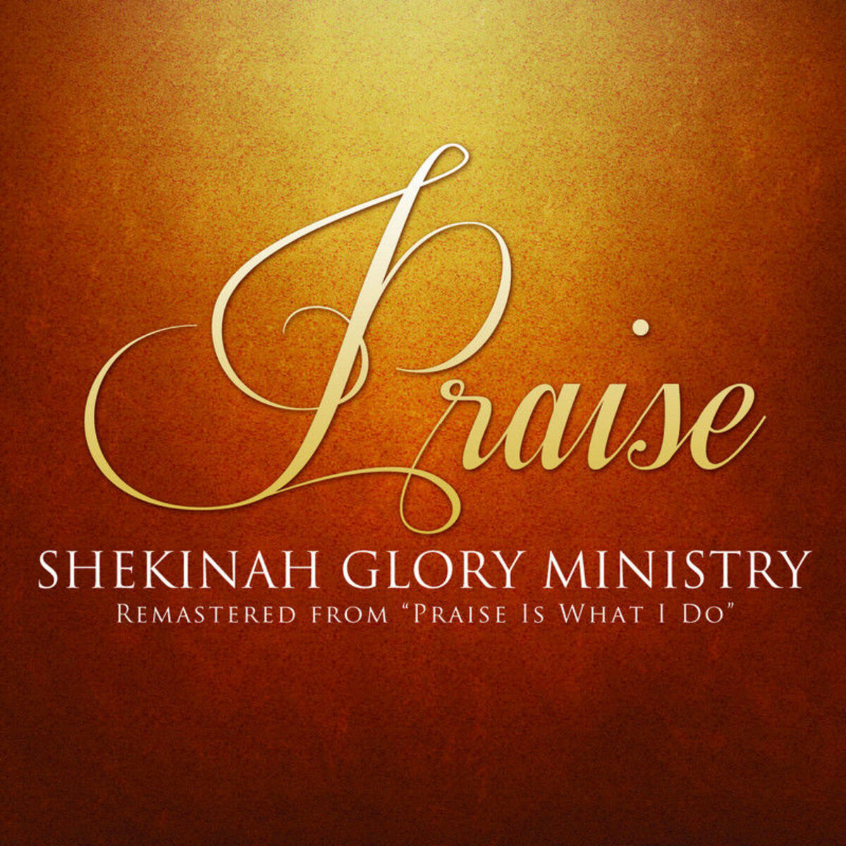 Album cover of Praise
