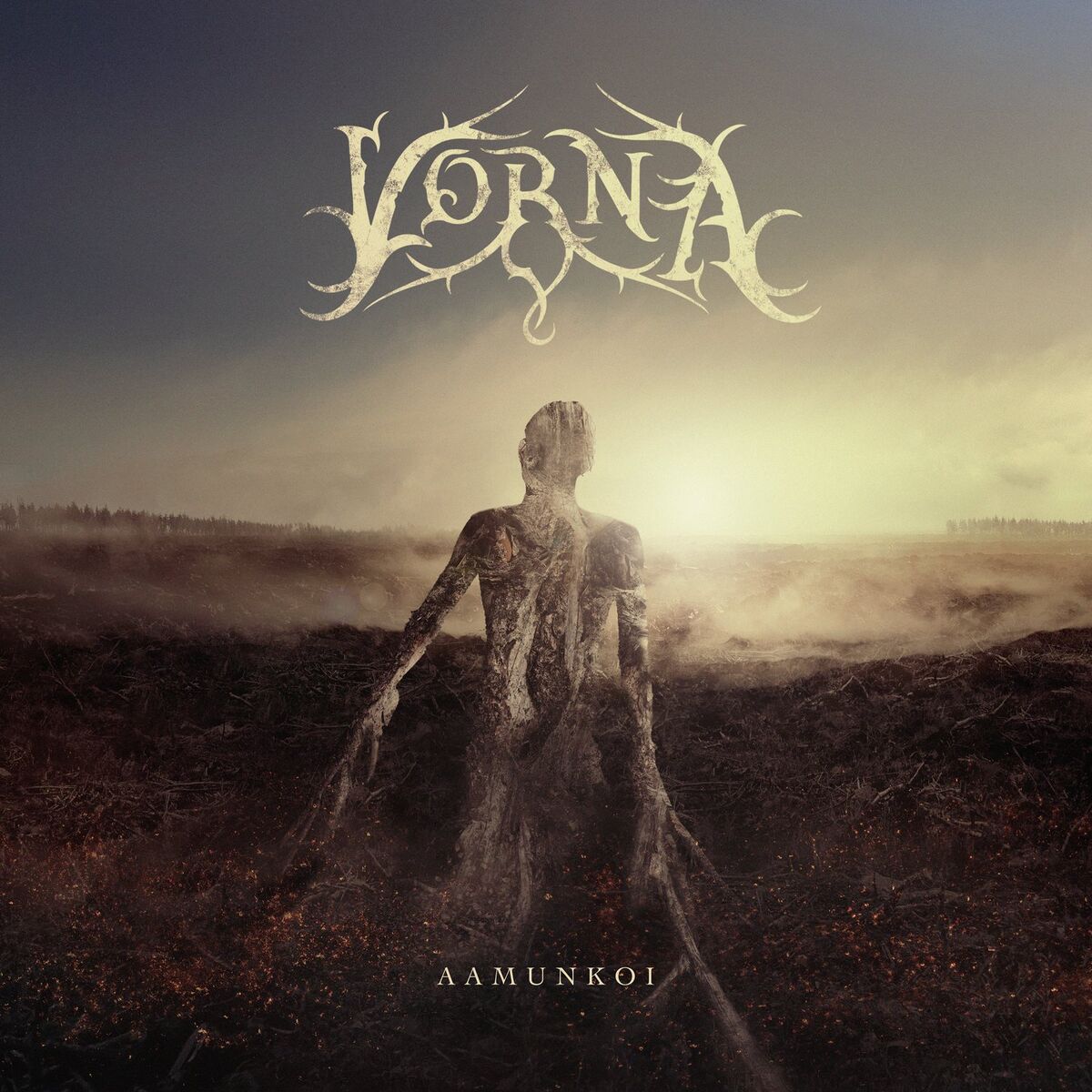 Album cover of Aamunkoi