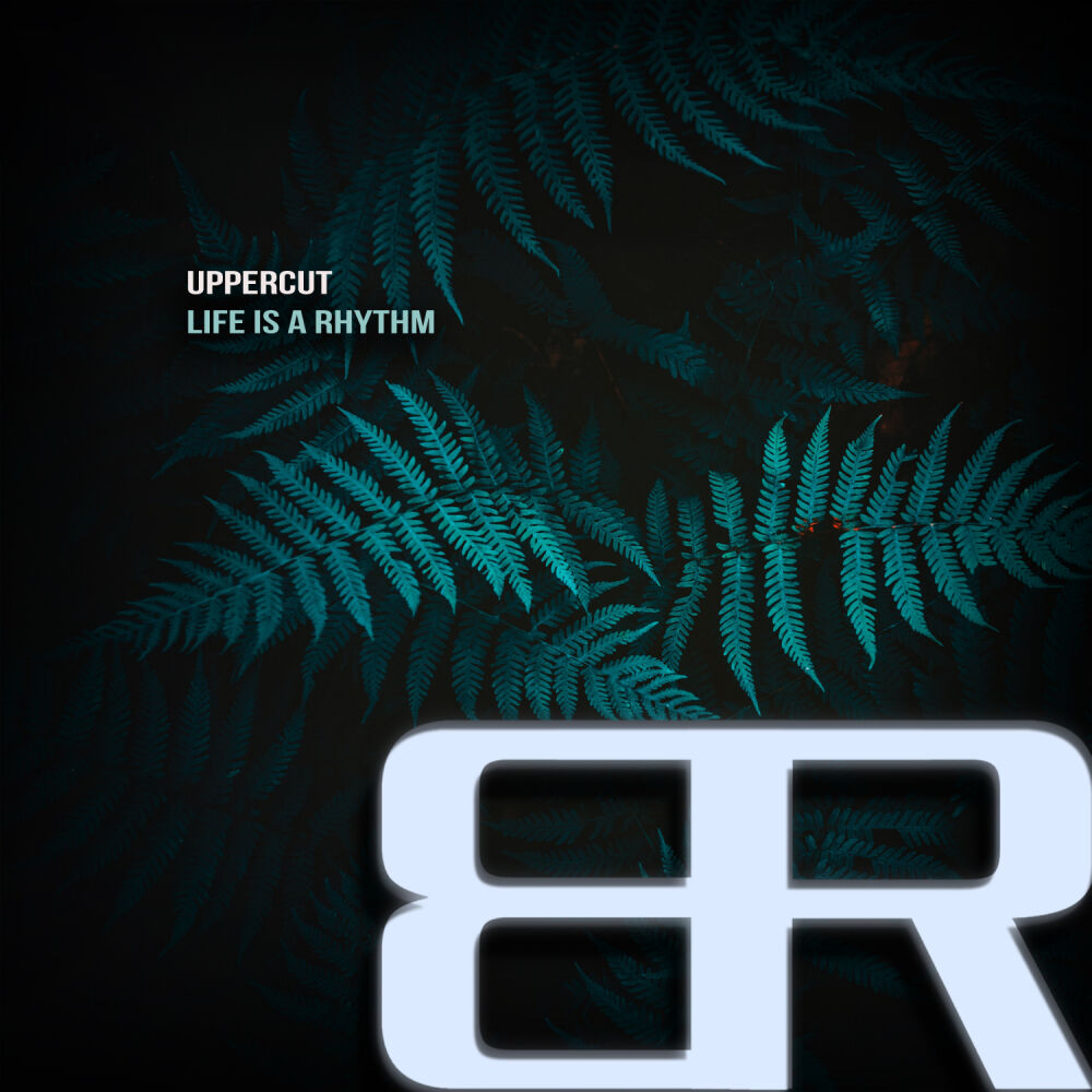 Picture of Life Is A Rhythm