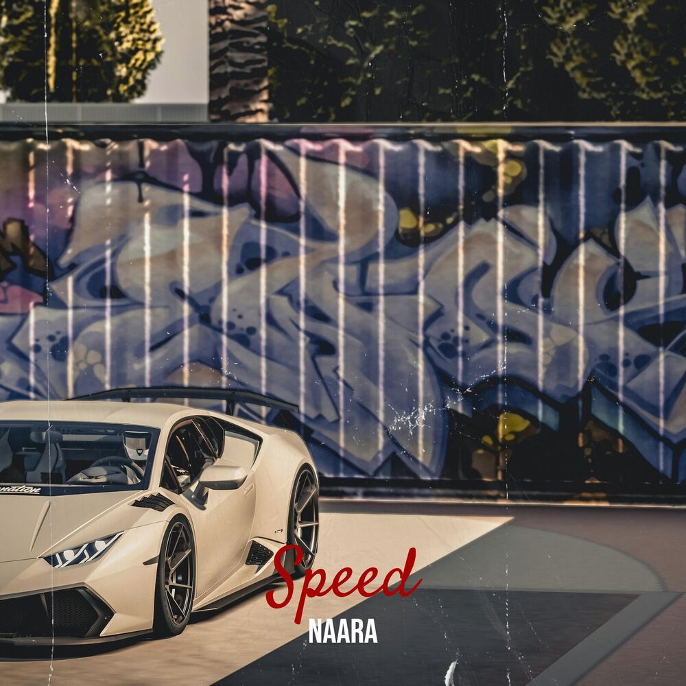 Picture of Speed