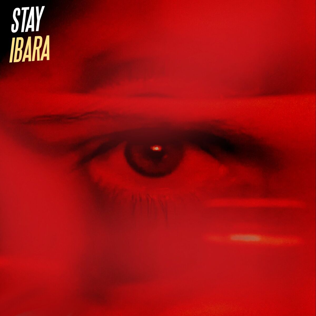 Album cover of Stay