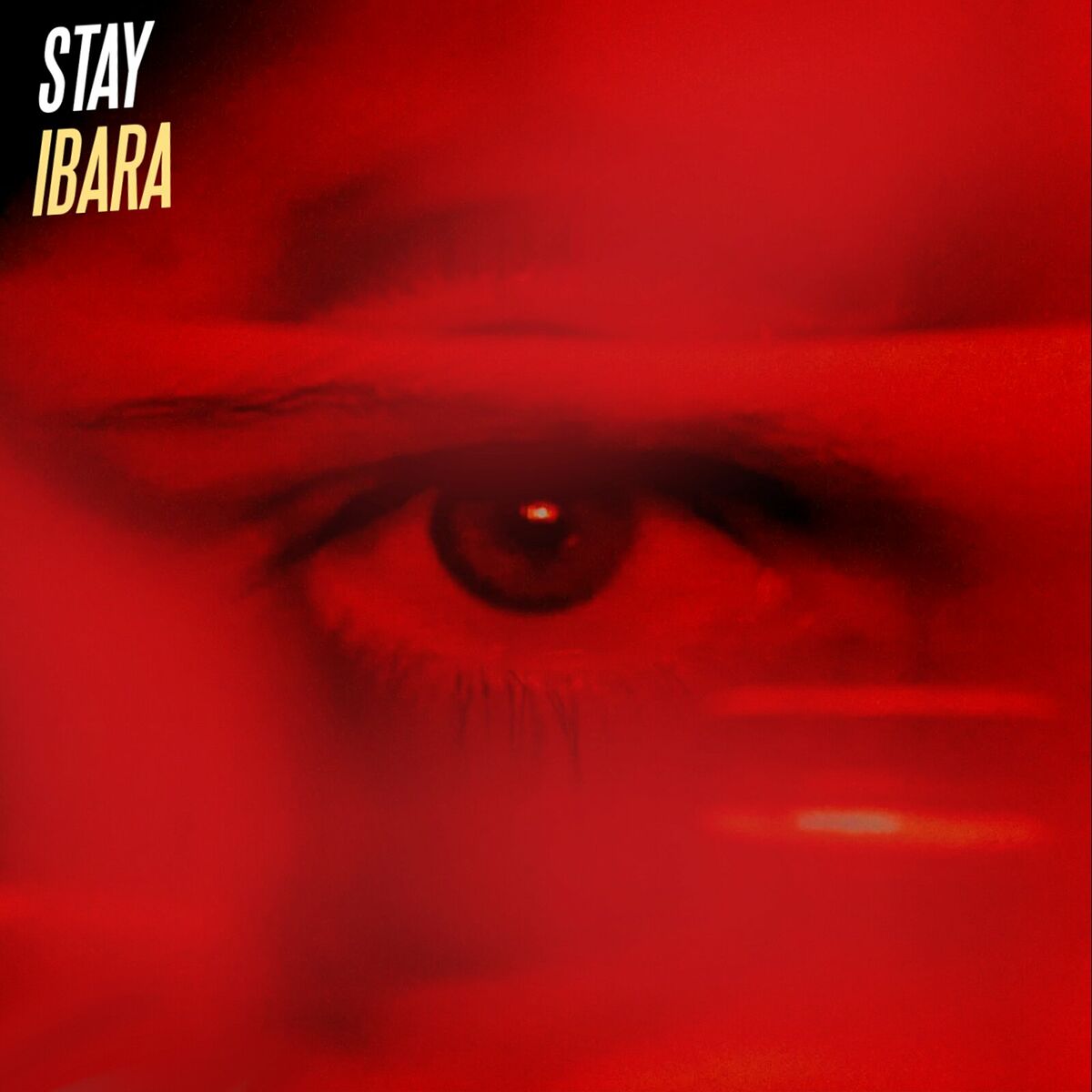 Album cover of Stay