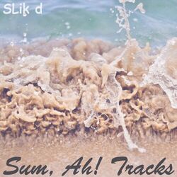 Cover of Sum, Ah! Tracks