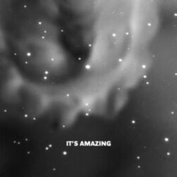 Cover of It's Amazing (Remixes)