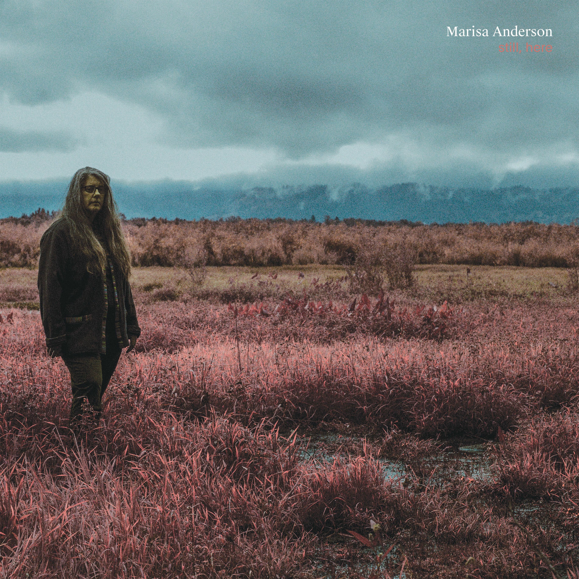Album cover of In Dark Water