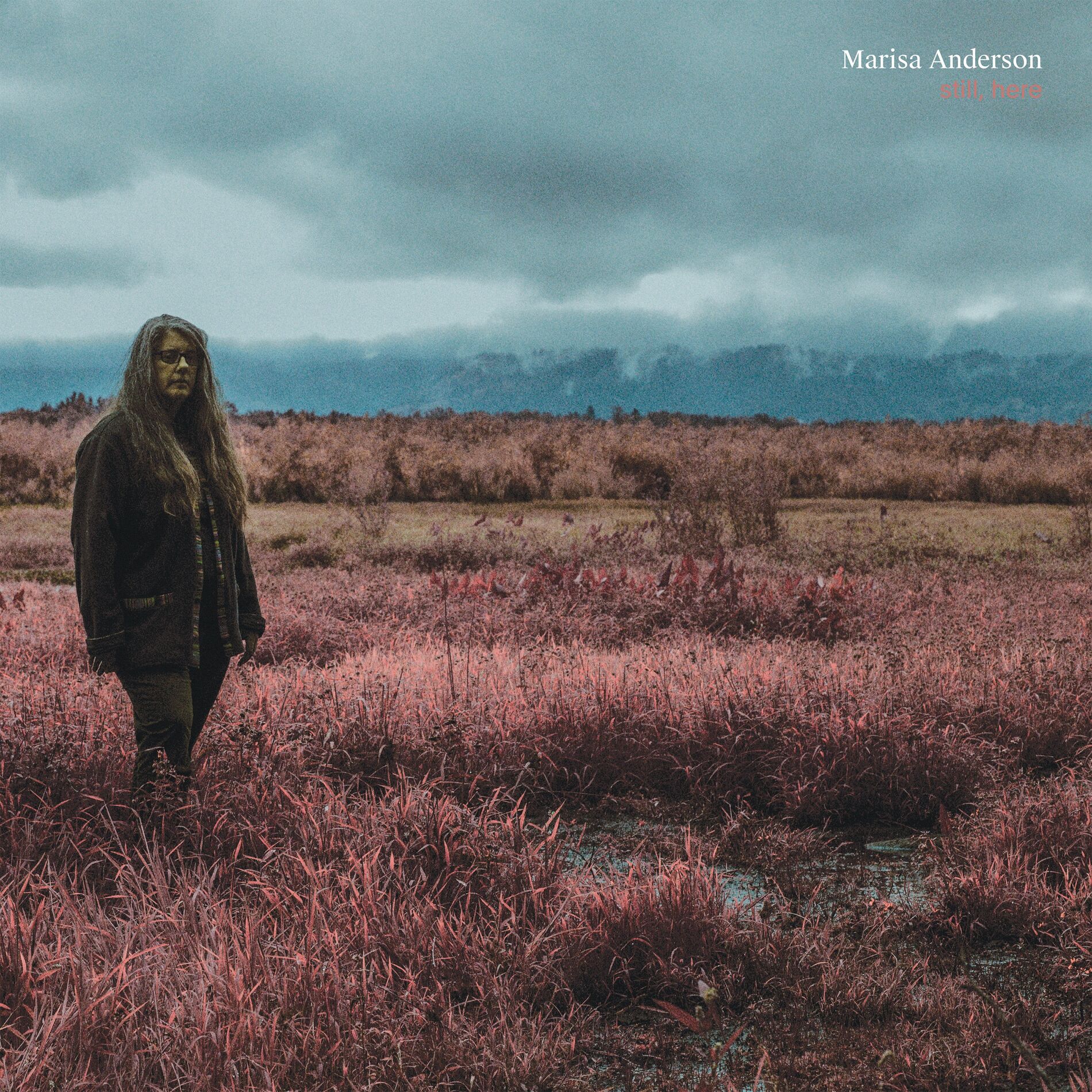 Album cover of Still, Here