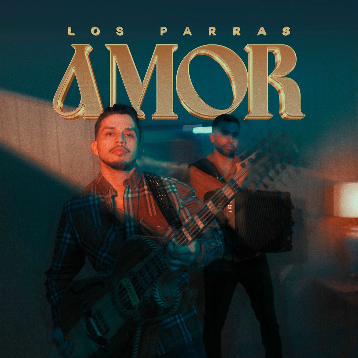 Album cover of AMOR
