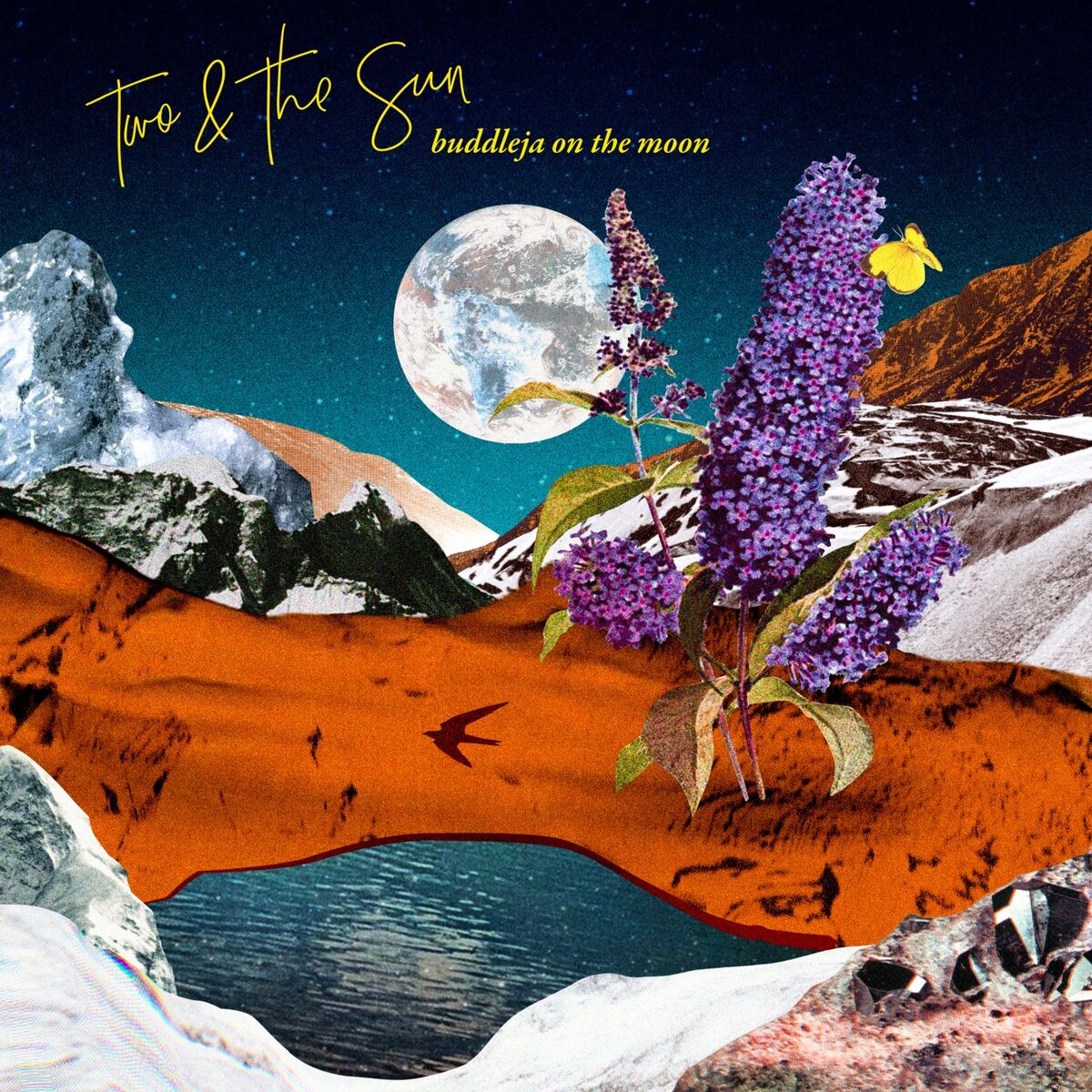 Album cover of Buddleja On The Moon