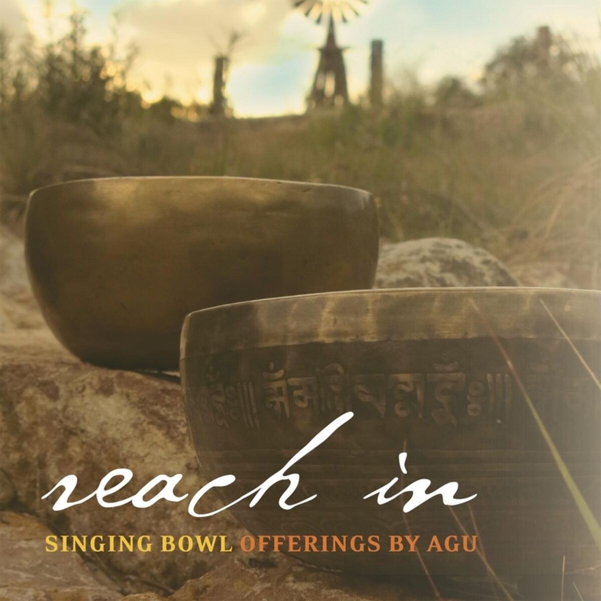 Album cover of Reach In