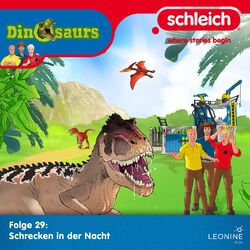 Cover of Folge 29: Schrecken in der Nacht