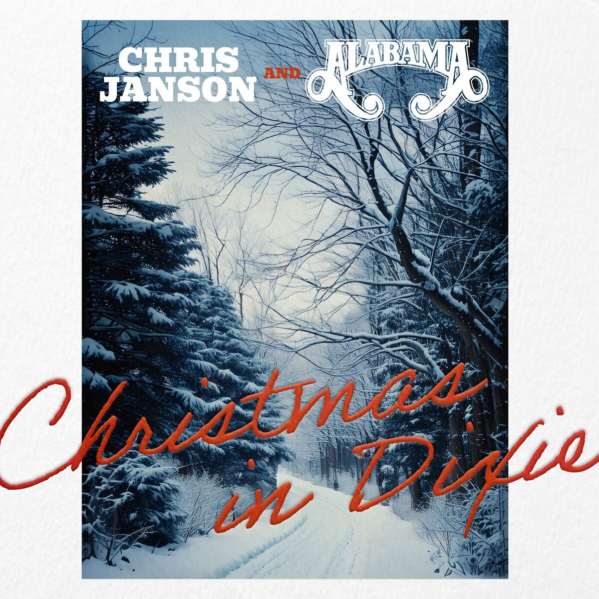 Album cover of Christmas In Dixie