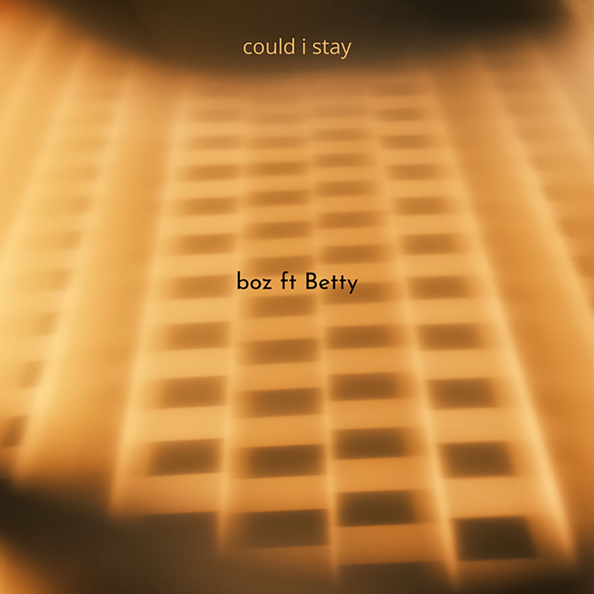 Album cover of Could I Stay