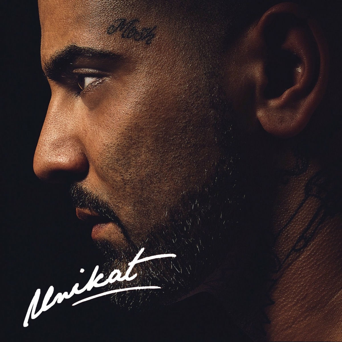 Album picture of Unikat