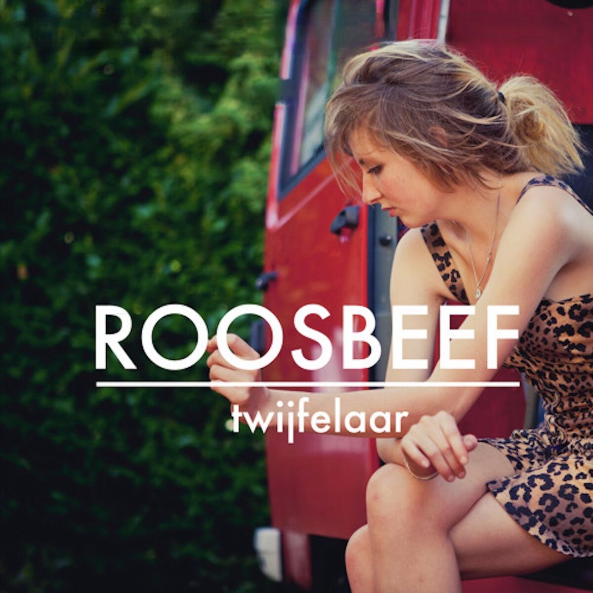 Album cover of Twijfelaar