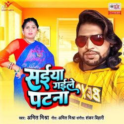 Cover of Saiya Gaile Patna