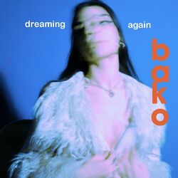 Cover of Dreaming Again