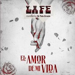 Cover of El Amor De Mi Vida