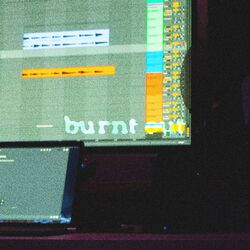 Cover of Burnt Out