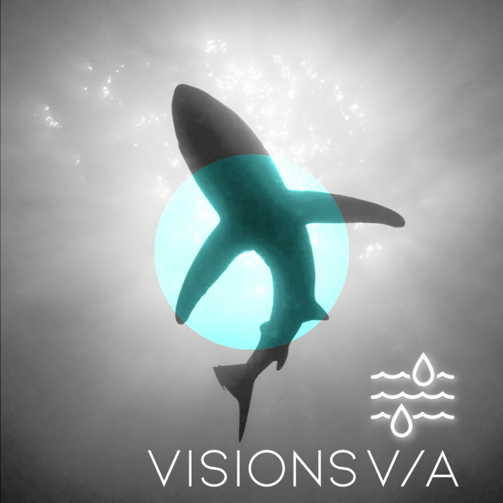 Picture of Visions 01 V/A