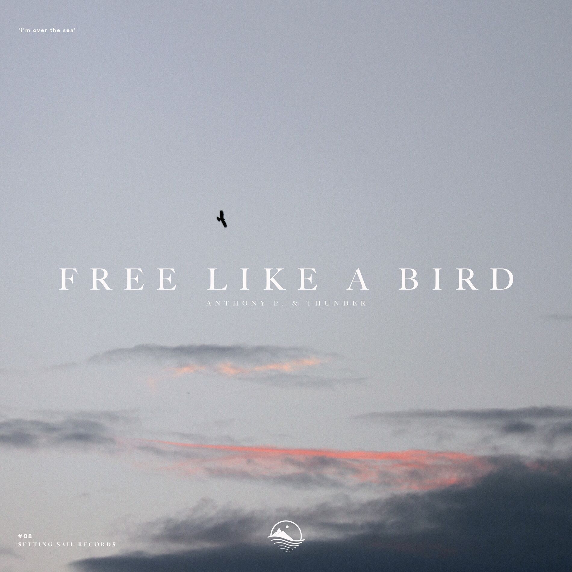 Album cover of Free Like a Bird
