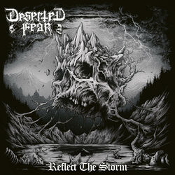 Cover of Reflect the Storm