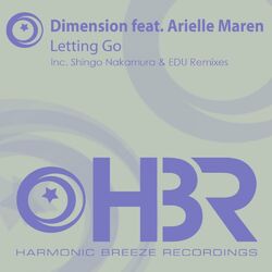 Cover of Letting Go