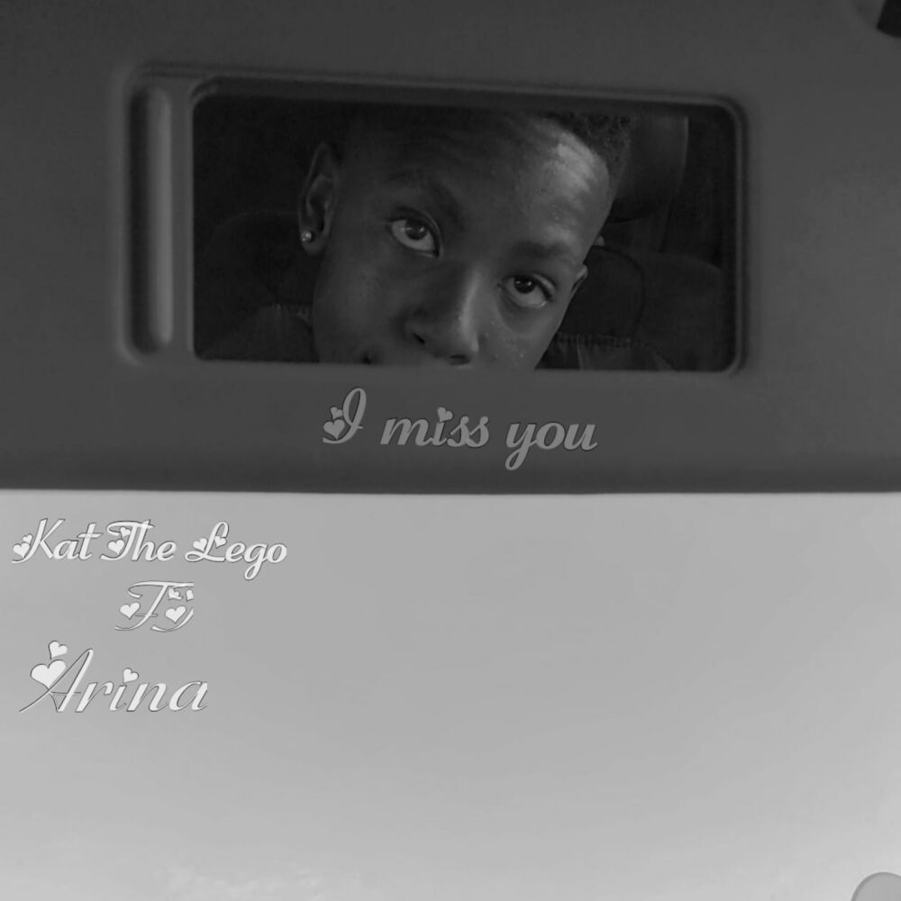 Picture of I miss you (Remix)