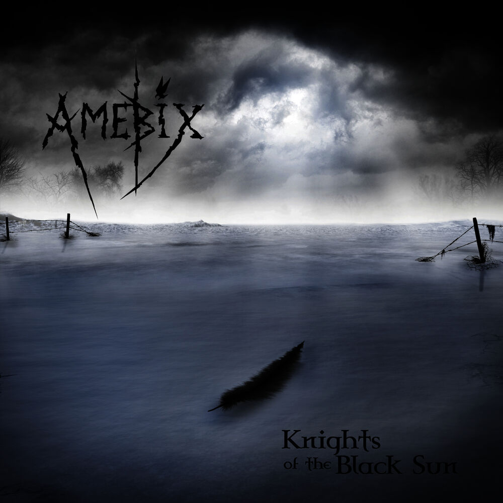 Picture of Knights of the Black Sun