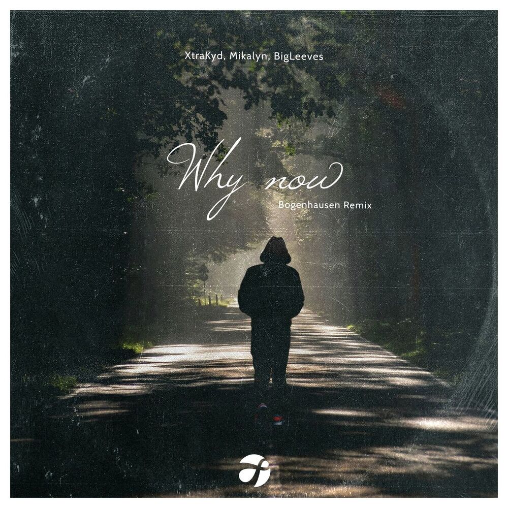 Picture of Why Now (Bogenhausen Remix)