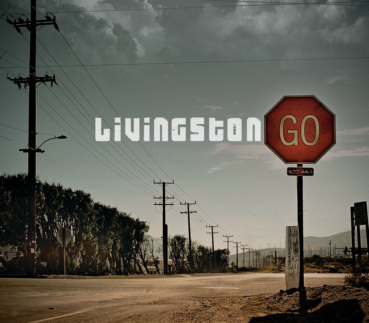 Album cover of Go