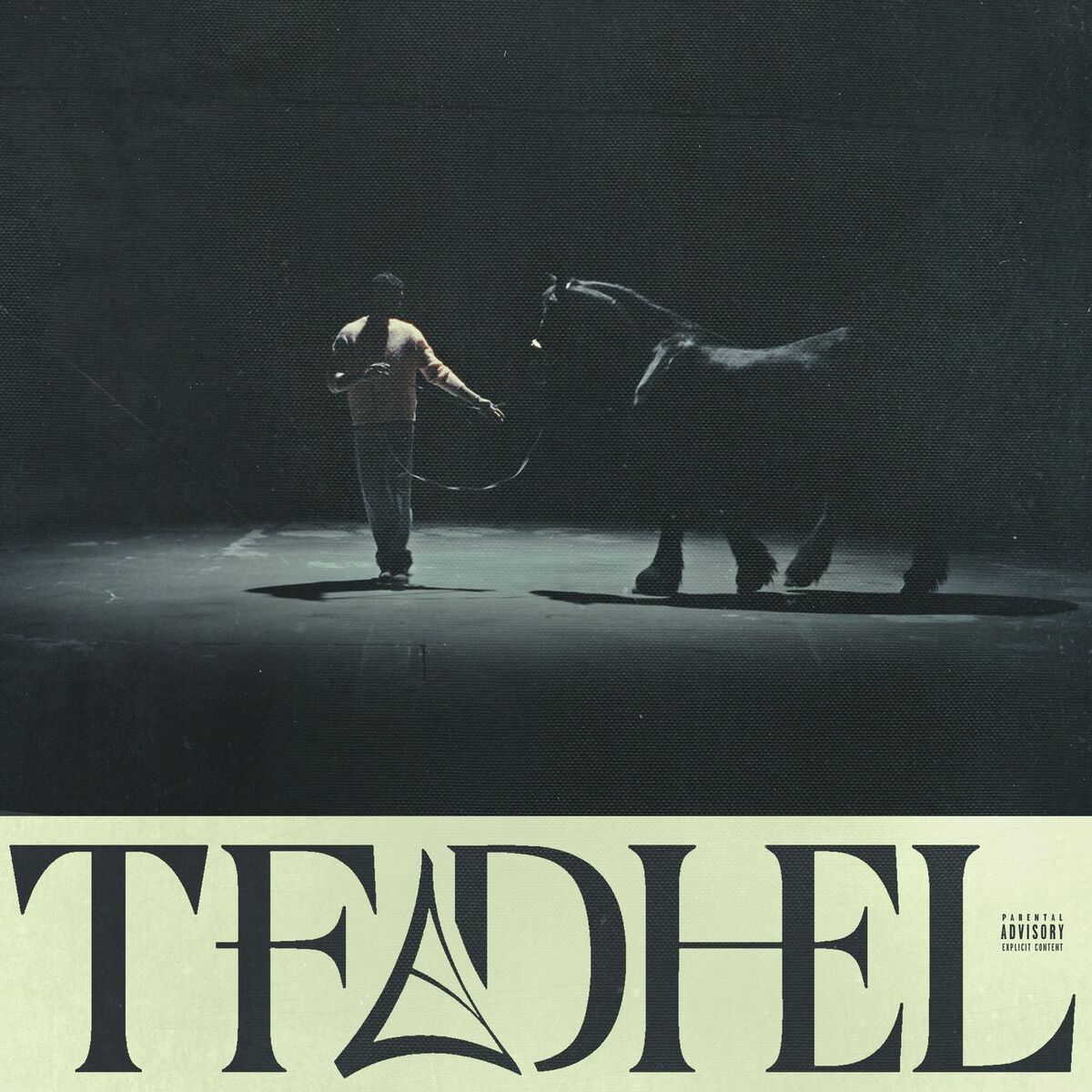 Album cover of Tfadhel