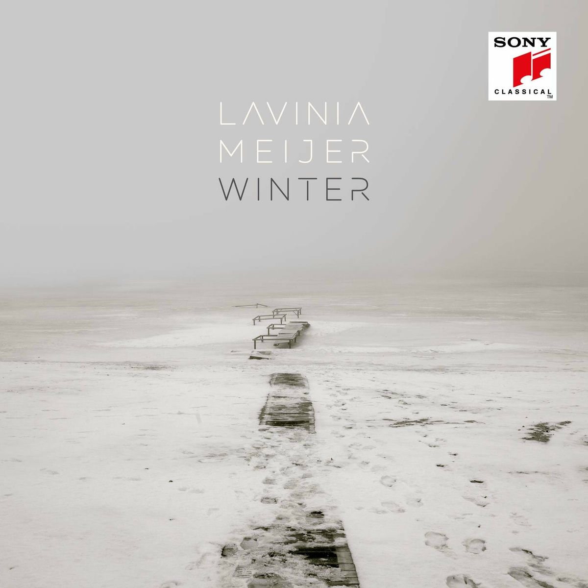 Album cover of The Departure
