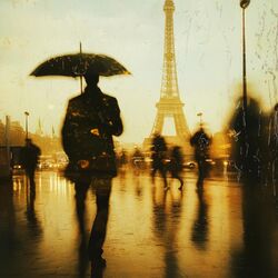 Cover of Le Guide Féerique du Pluviophile: Légendes Vivantes sous les Gouttes
