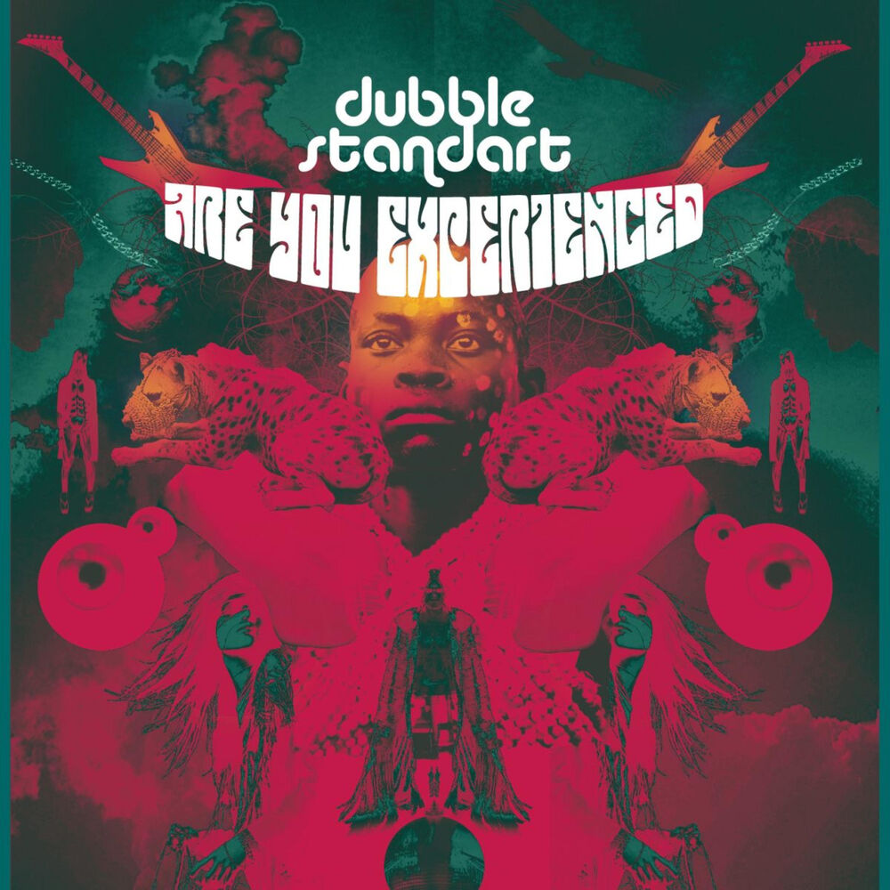 Picture of Are You Experienced