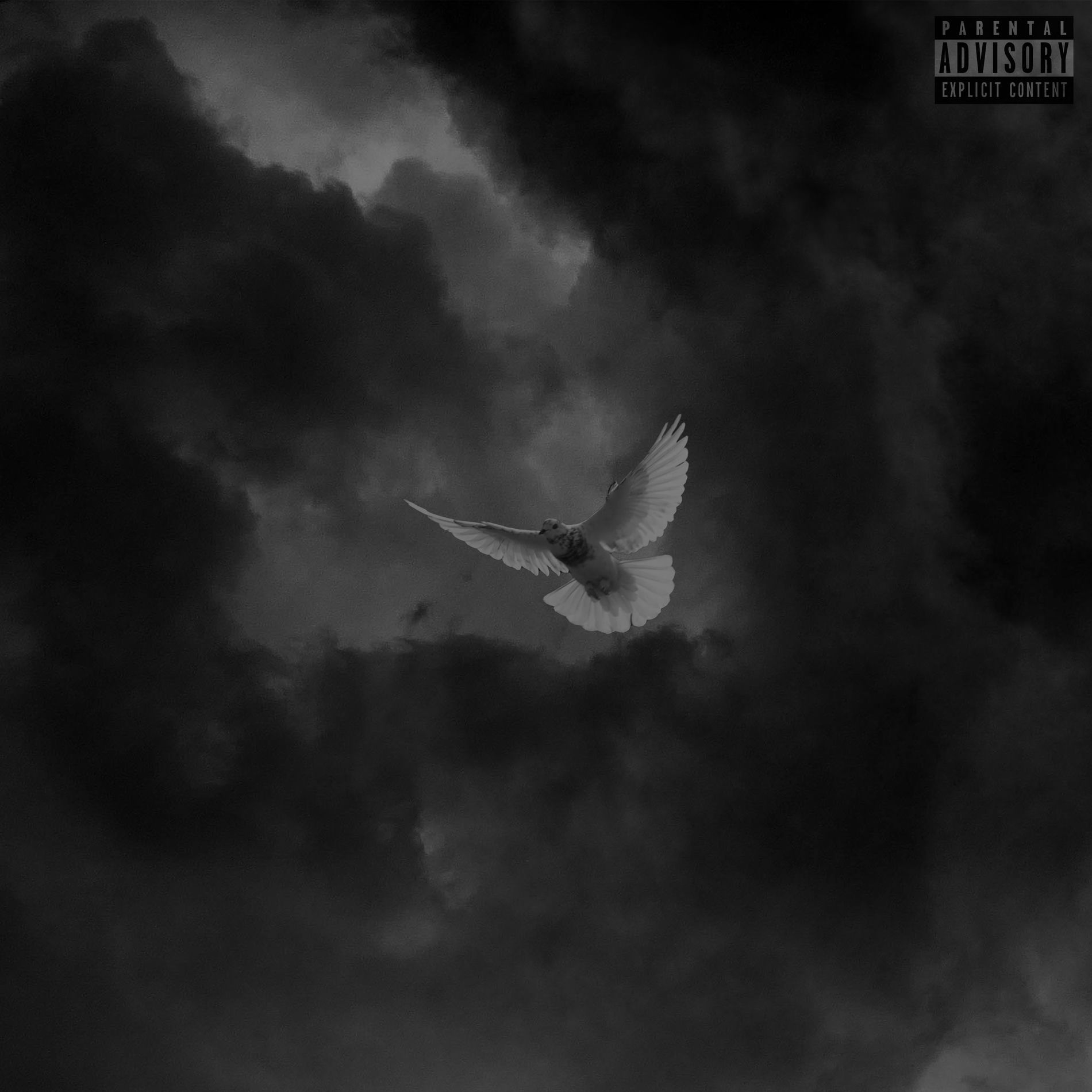 Album cover of Tempête