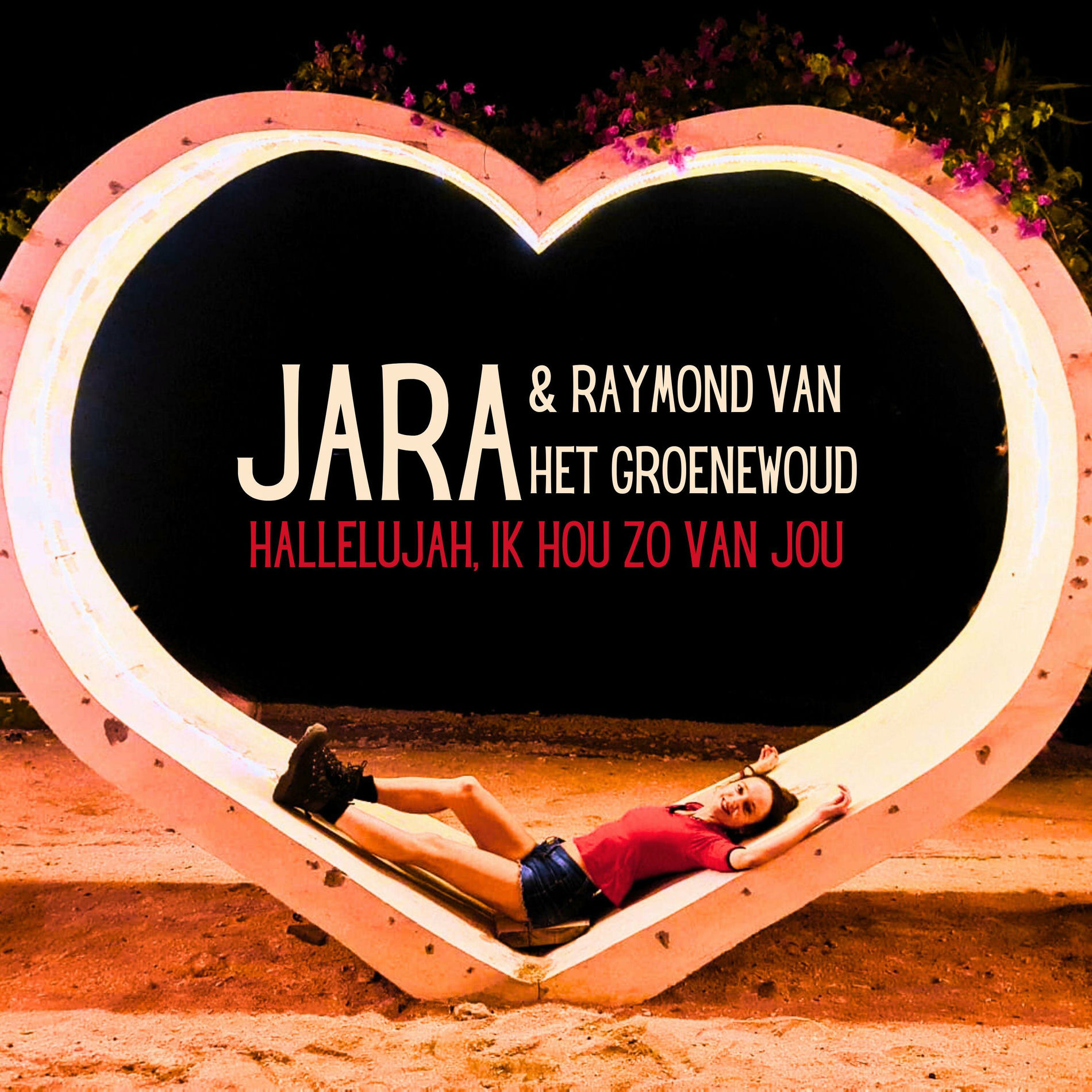 Album cover of Hallelujah, ik hou zo van jou (feat. Raymond van het Groenewoud)