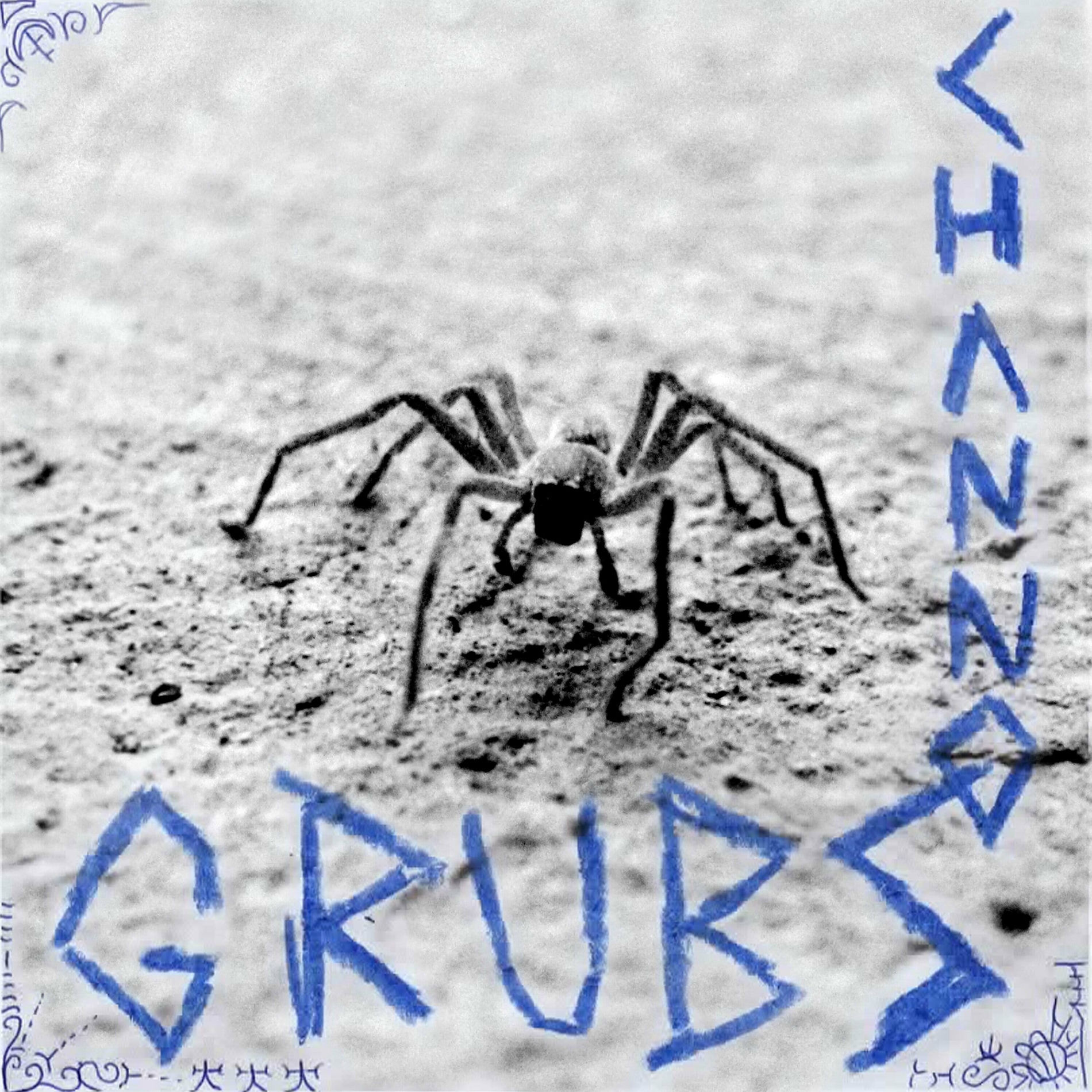 Album cover of Grubz