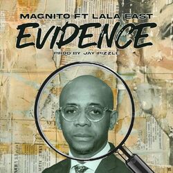 Cover of Evidence