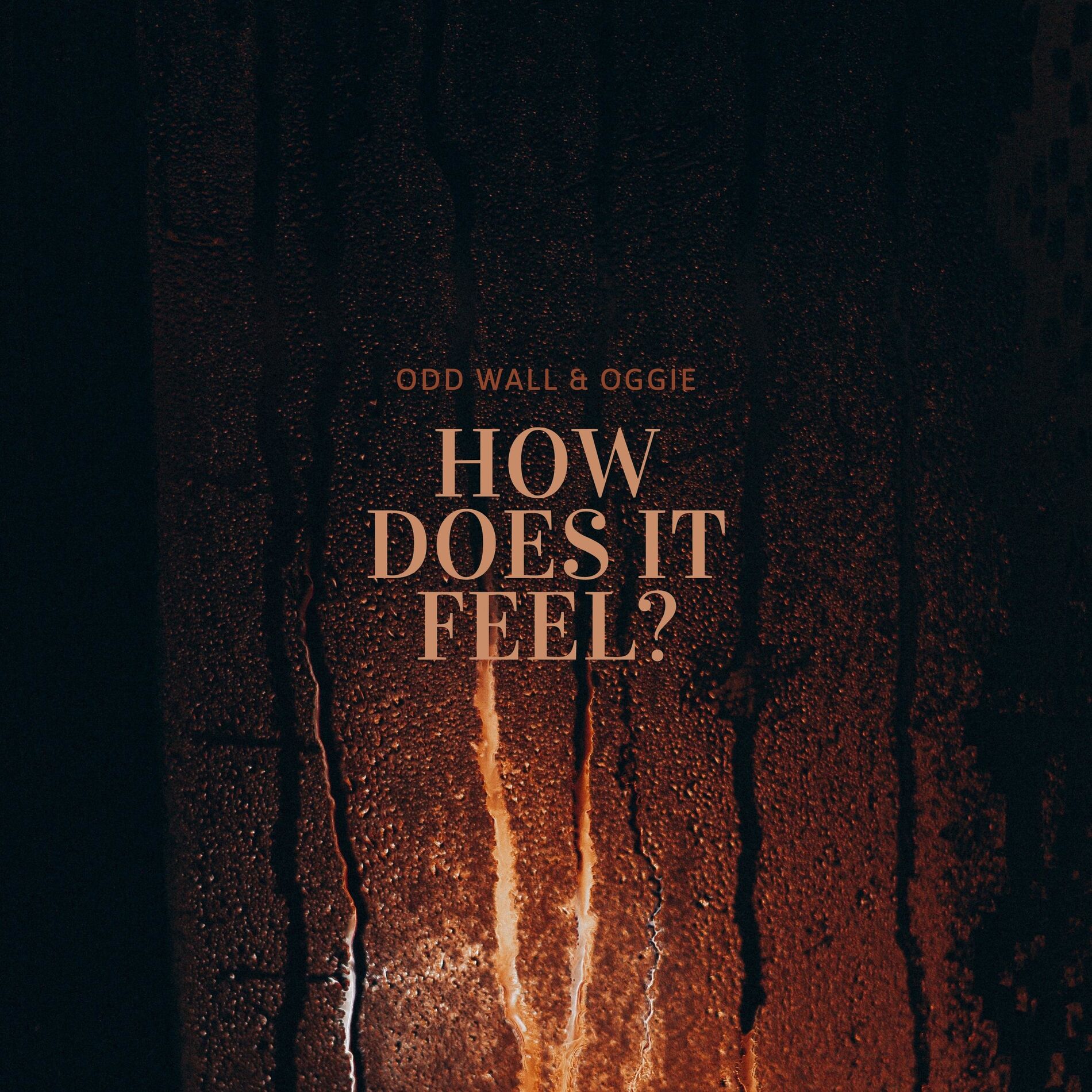 Album cover of How Does It Feel?
