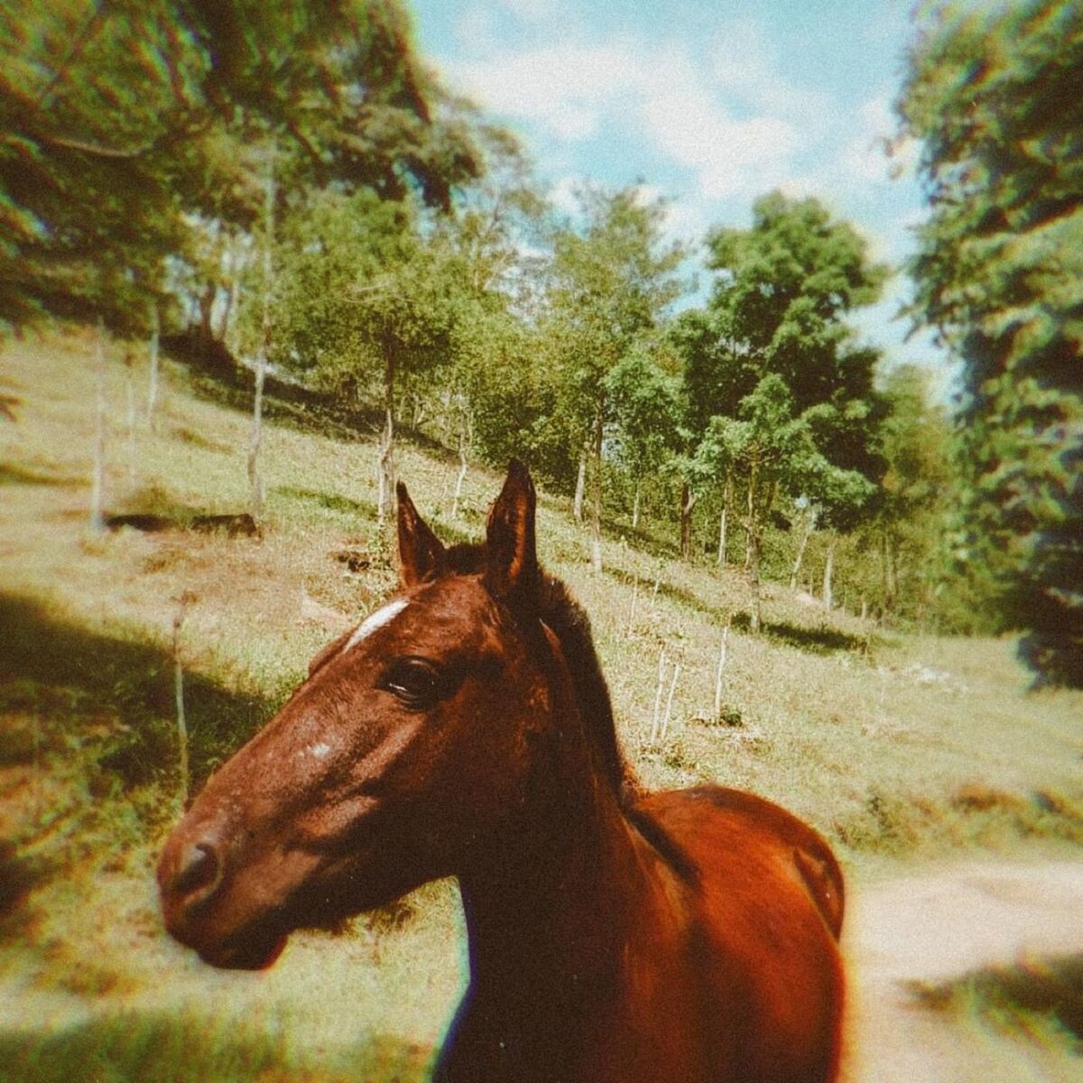 Album cover of Paraíso