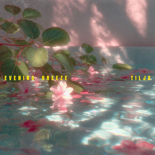 Descargar Evening Breeze - Tilja MP3